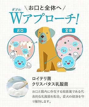 Amazon.co.jp: 【ドクターデンタルワン】犬 歯磨き 犬 歯ブラシ 犬