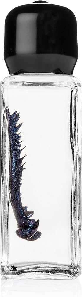 Amazon.com: Inspired Designs Blue Colored Ferrofluid in a Bottle