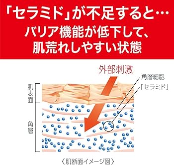 Amazon | キュレル 【トライアルセット】 エイジングケア (化粧水30ml+
