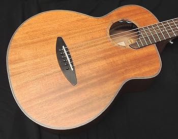 Amazon | aNueNue Bird Guitar aNN-M20E Solid Mahogany Top