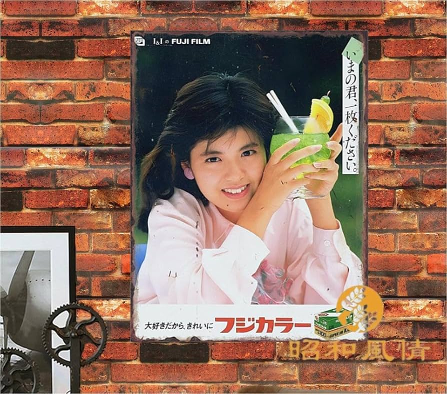 Amazon.co.jp: 【昭和の風情】南野陽子 昭和レトロ 懐かし ブリキ看板