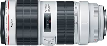 Amazon.com : Canon EF 70-200mm f/2.8L Is III USM Lens for Canon