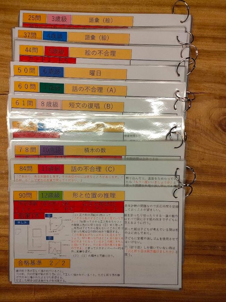 Amazon.co.jp: 田中ビネー知能検査V 検査進行シート3歳級～12歳級