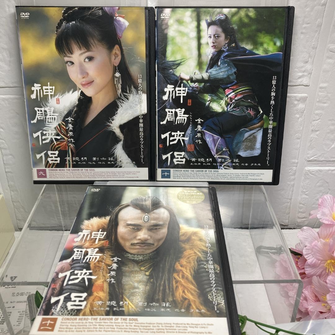 神鵰侠侶 DVD 全11卷 全卷セット レンタル 神鵰侠侶 DVD 全11卷 全卷