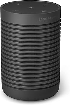 Amazon.com: Bang & Olufsen Beosound Explore - Wireless Portable