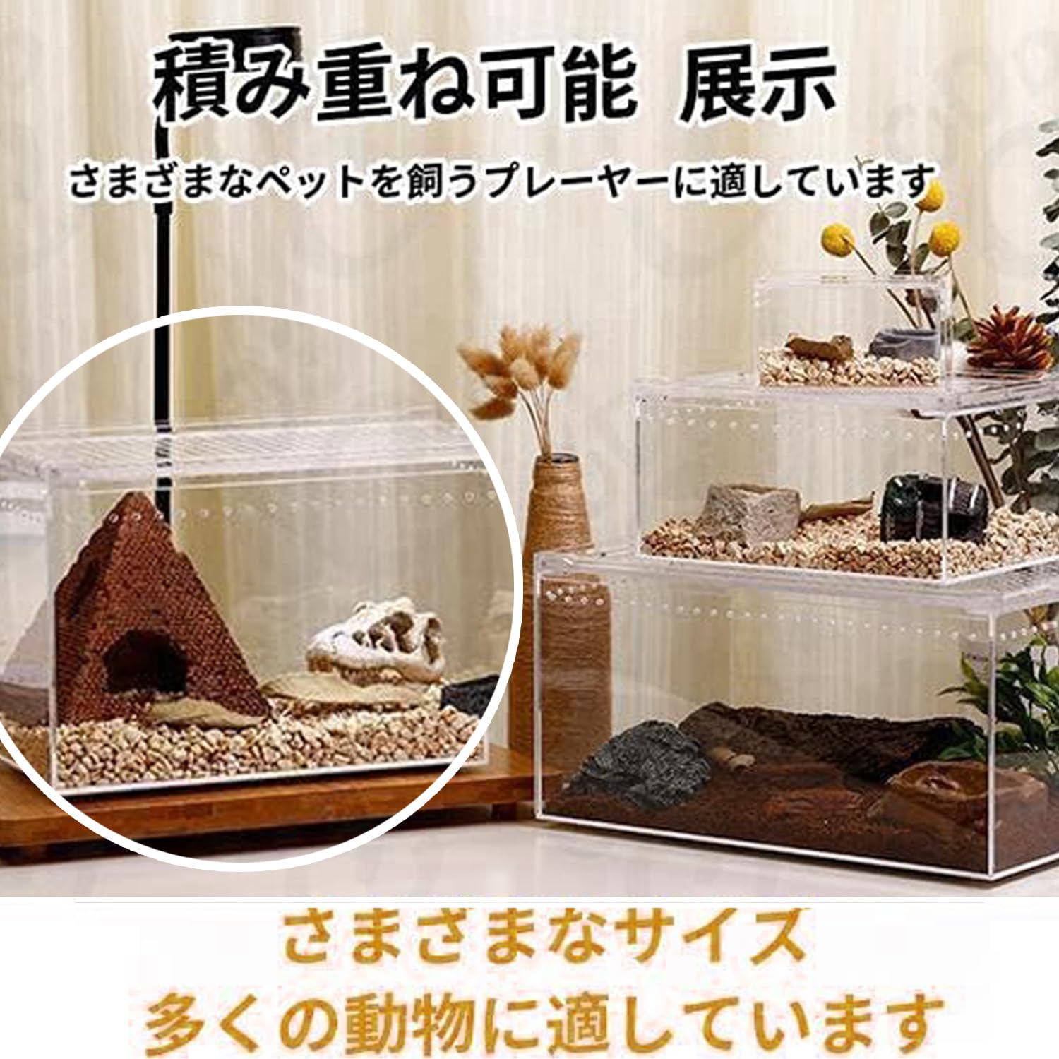 Amazon.co.jp: 爬虫類 飼育ケース レプタイルボックス 透明アクリル