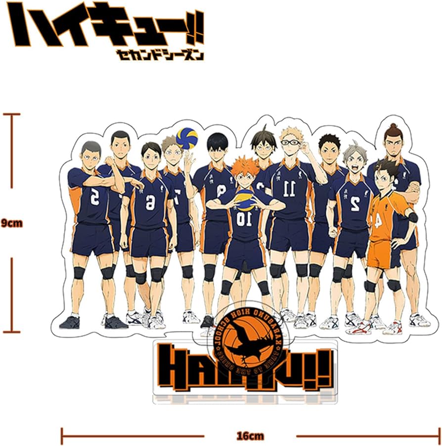 Amazon.co.jp: DIROLVON ハイキュー 日向 翔陽 グッズ 烏野高校 福袋