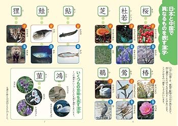 新レインボー小学漢字辞典 改訂第6版 小型版（オールカラー） (小学生