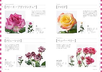 Amazon.co.jp: 切り花 バラ図鑑1000 上巻 : 飯山 重, フローリスト編集