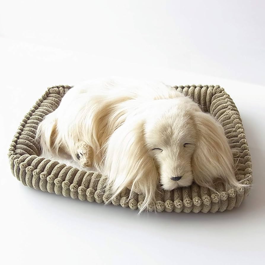 Amazon.co.jp: ニニアンドキノ パーフェクトペット (小サイズ