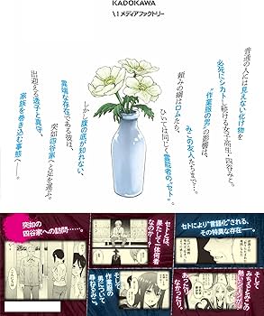 Amazon.co.jp: 見える子ちゃん 13 (MFC) : 泉 朝樹: 本