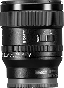 Amazon.com : Sony E-mount FE 24mm F1.4 GM Full Frame Wide-angle