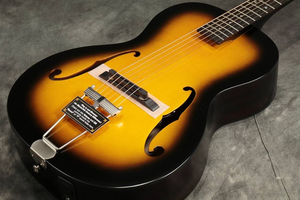 Amazon.co.jp: Epiphone / Masterbilt Century Olympic VB: 楽器・音響機器