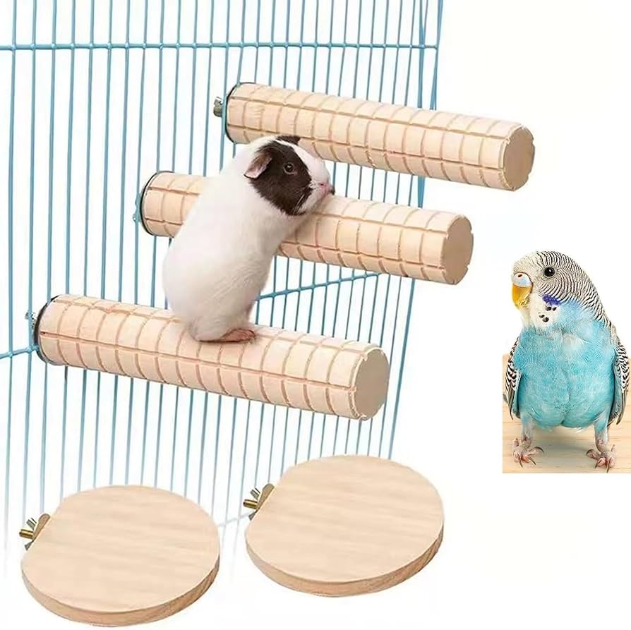 71cmwDaL67L._AC_UF894,