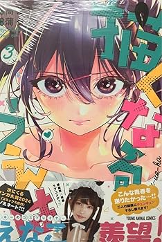 Amazon.co.jp: 描くなるうえは 3 ゲーマーズ 特典 リーフレット