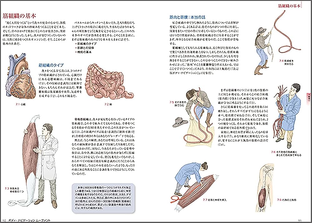 Amazon.co.jp: ボディーナビゲーション・ムーブメント―身体を組み立て