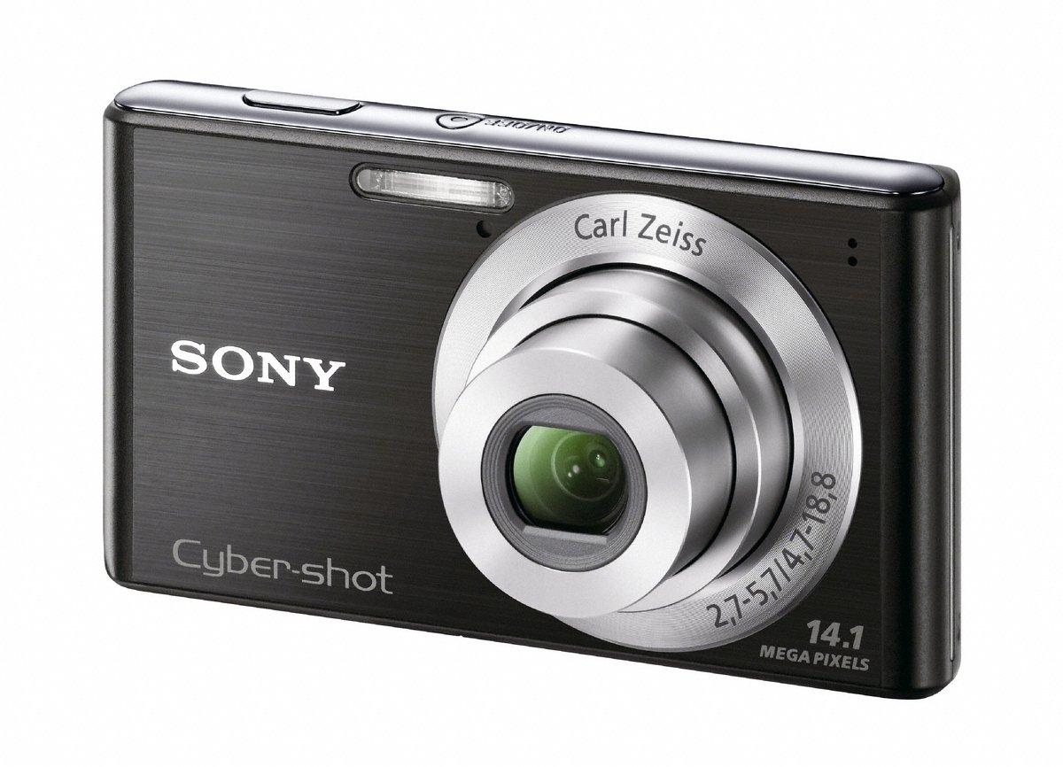 Amazon.com : Sony Cyber-Shot DSC-W530 14.1 MP Digital Camera with