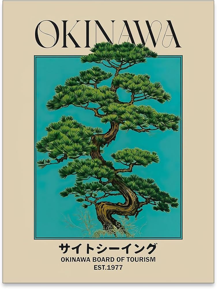 Amazon.com: enttgo Japanese Canvas Wall Art Okinawa Prints Retro