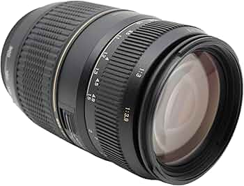 Amazon.com : Tamron AF 70-300mm f/4.0-5.6 Di LD Macro Zoom Lens