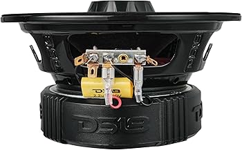 Amazon.com: DS18 PRO-ZT6 6.5