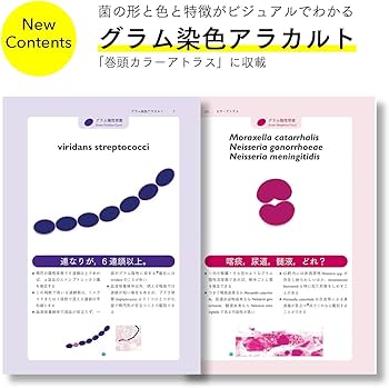 レジデントのための感染症診療マニュアル 第4版 | 青木 眞 |本 | 通販