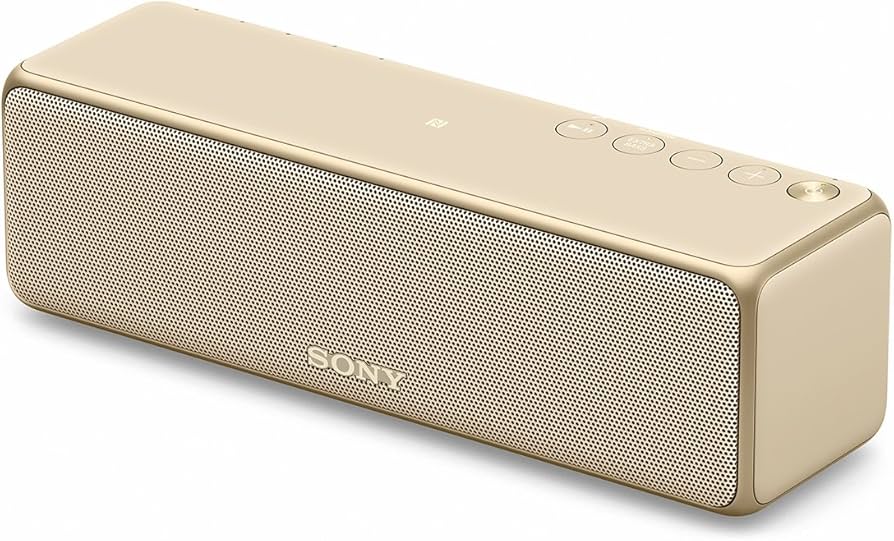 Amazon.co.jp: Sony Wireless Portable Speaker SRS-HG10: Bluetooth