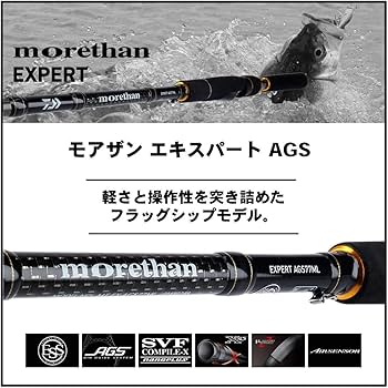 Amazon | ダイワ(DAIWA) シーバスロッド モアザン エキスパート AGS
