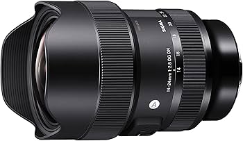 Amazon.co.jp: シグマ(Sigma) レンズ 14-24mm F2.8 DG DN Sony ソニー