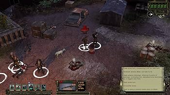 Wasteland 2 Director's Cut Nintendo Switch Game: Video Games