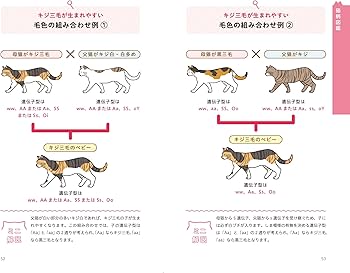 猫柄図鑑 | 山根 明弘 |本 | 通販 | Amazon