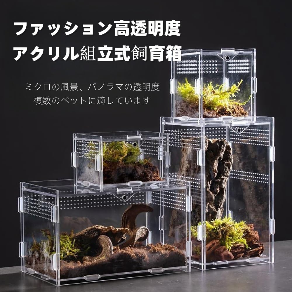 Amazon | 爬虫類 ケージ トカゲ ケージ カナヘビ飼育ケース 爬虫類
