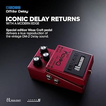 Amazon.com: Boss DM-2W Delay Waza Craft Guitar Effects Pedal
