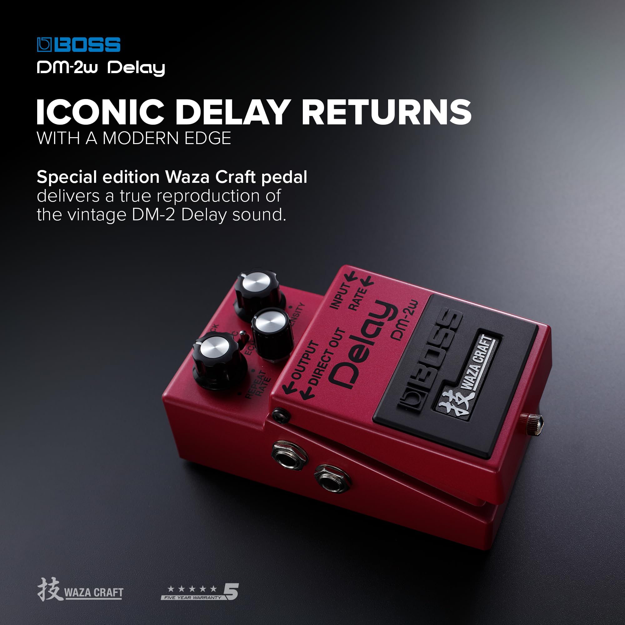 Amazon.com: Boss DM-2W Delay Waza Craft Guitar Effects Pedal