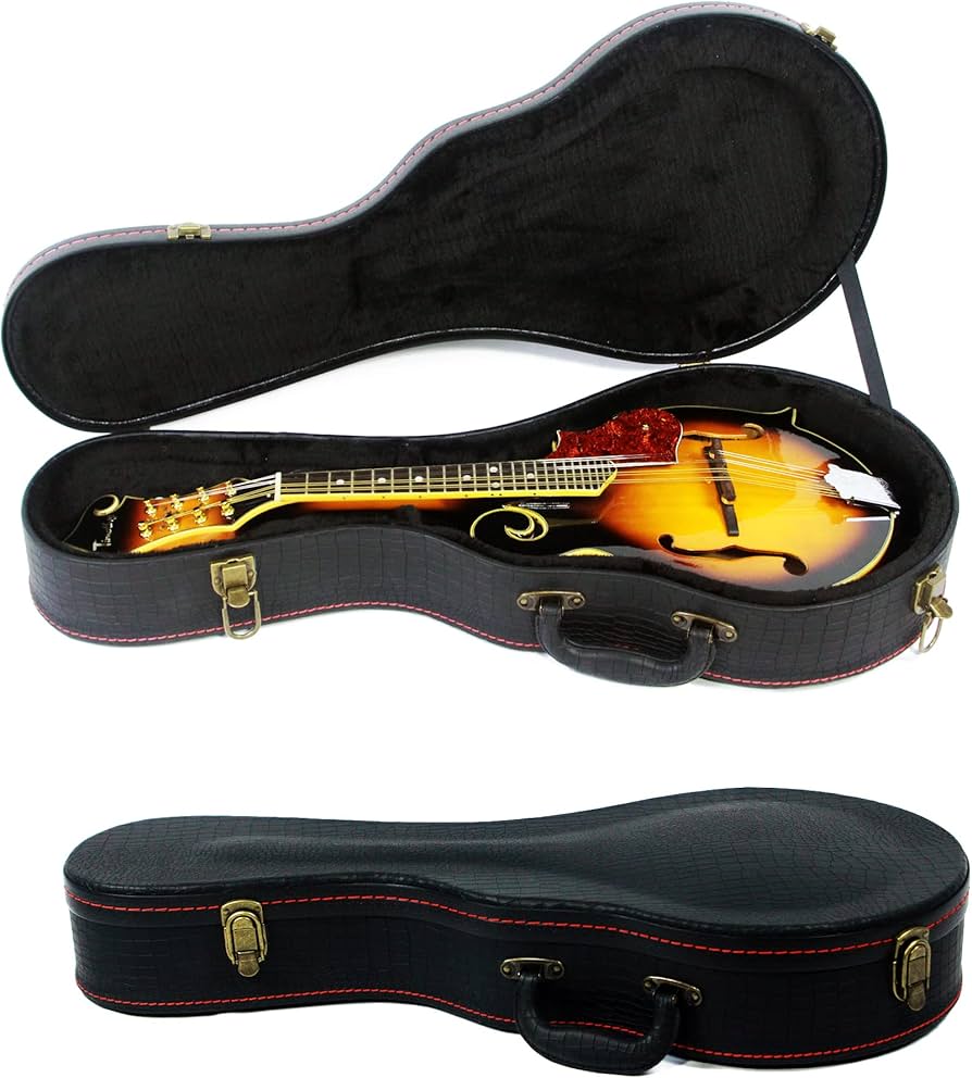 野口マンドリン『 SAマンドリンナポリ型』 2015年製 ケース付き 野口