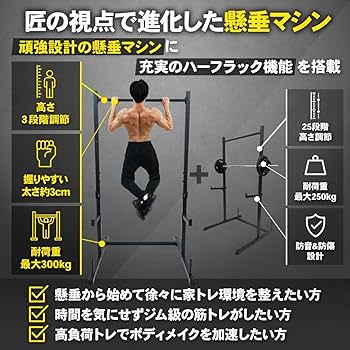 Amazon | STEADY ラック型 懸垂マシン【25段階調整/耐荷重300kg/本格