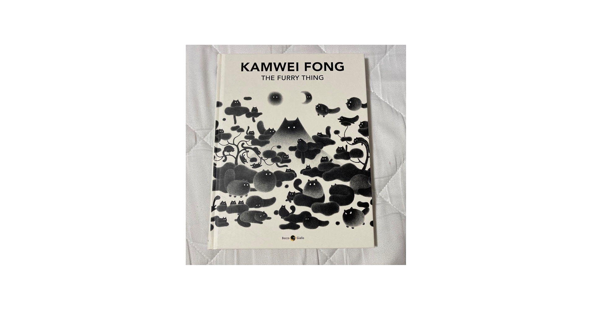 Amazon.co.jp: カ厶ウェイ・フォン 画集 KAMWEI FONG THE FURRY THING