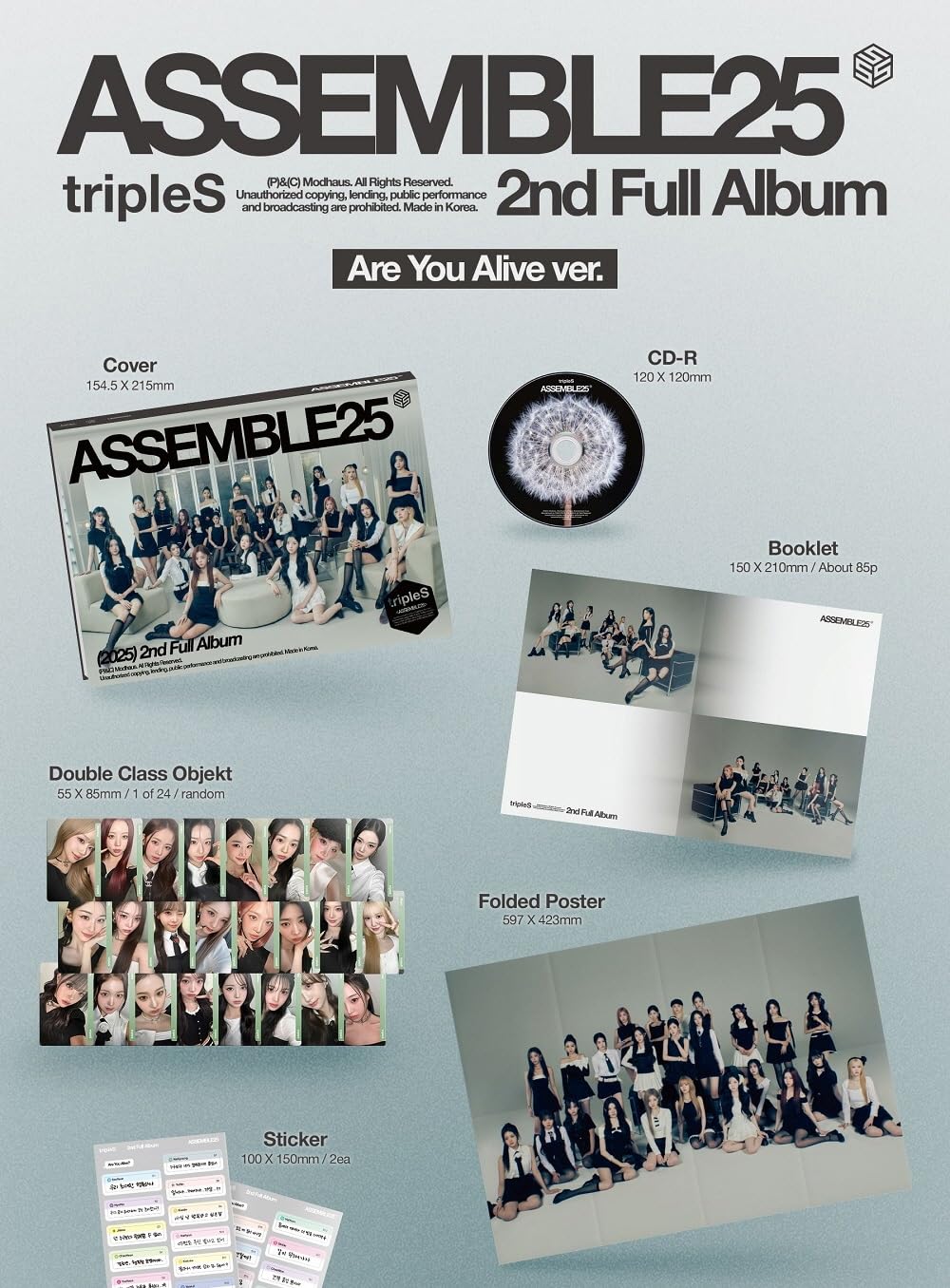 Amazon.com: tripleS Assemble25 2nd Full Album (Random ver.) : Home
