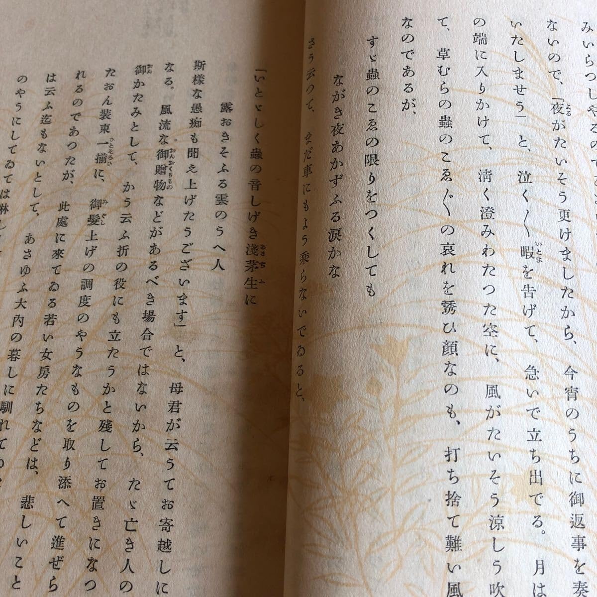 Amazon.co.jp: NA4603M86 古書 源氏物語 巻1-巻26 全26冊 訳者 谷崎