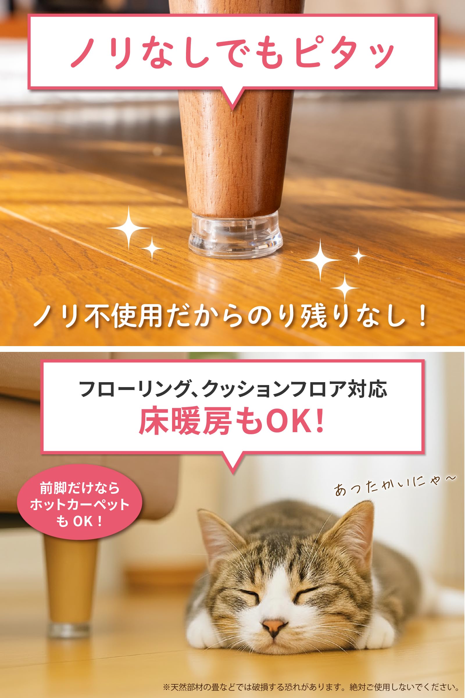 Amazon.co.jp: Shelly「シェリー」