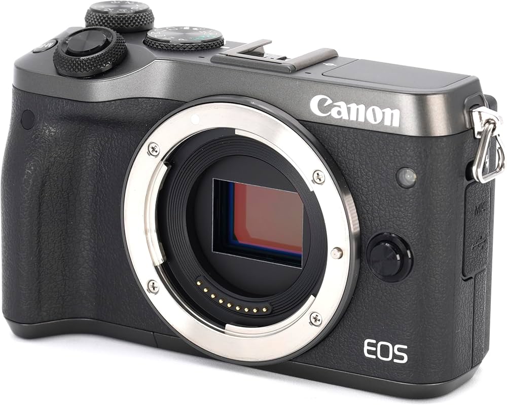 Amazon | Canon ミラーレス一眼カメラ EOS M6 ボディー(シルバー