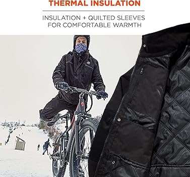 Amazon.com: Ergodyne N-Ferno 6467 Winter Work Jacket, Workwear