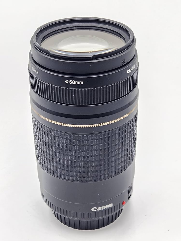 Used Canon 75-300mm f4-5.6 II USM Lens : Amazon.ca: Electronics