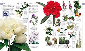 Amazon.co.jp: 地球博物学大図鑑 新訂版 : スミソニアン協会