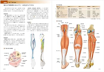 カラー図解 人体の正常構造と機能(全10巻縮刷版・全1冊)第5版最新版