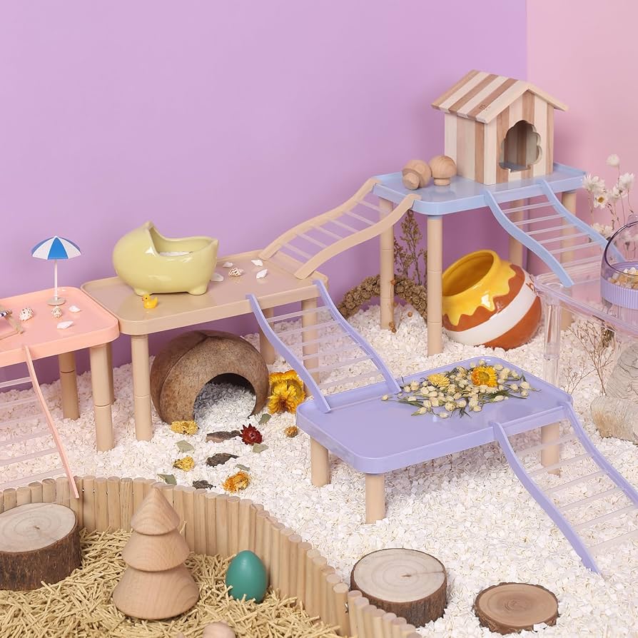 Amazon | Tafit ハムスター プラットフォーム 虹色ステップ