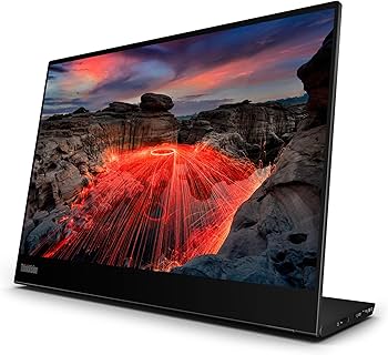 Amazon.com: ThinkVision M14t Gen2 14-inch Monitor : Electronics
