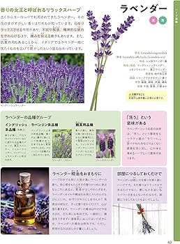 ふしぎなチカラをもっている ハーブの世界 (調べる学習百科) | 真木文