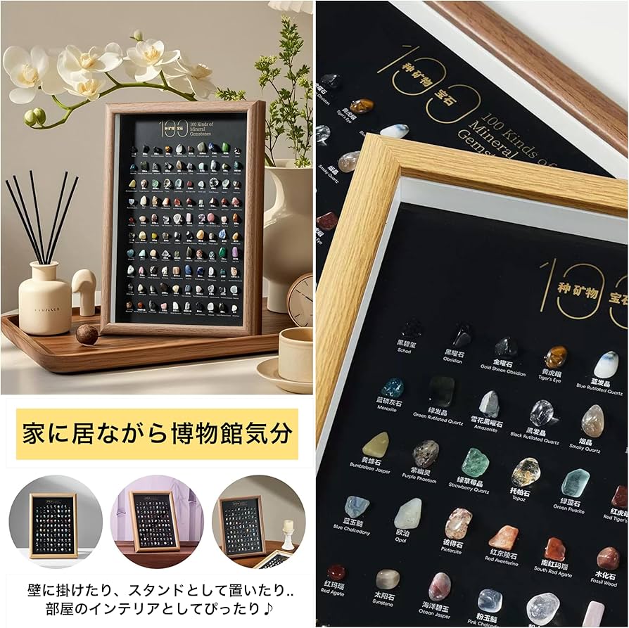 Amazon | GRAVITY 100種 鉱物 鉱石 標本 壁掛け スタンド 天然石