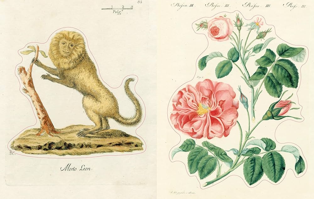 John Derian Sticker Book II: Derian, John: 9781648295119: Amazon