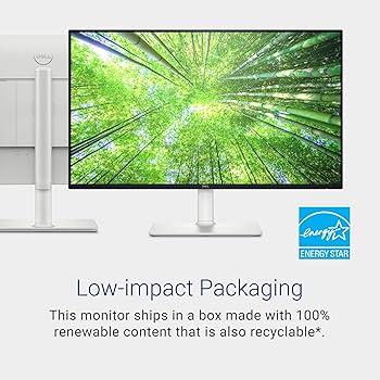 Amazon.com: Dell S2725DS Monitor - 27 Inch, QHD (2560x1440